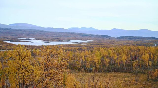 Aerial Drone View of Autumn Birch Forest and Tundra Landscape Near Abisko in Northern Sweden