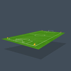 football field with green grass, with a different viewpoint © Riza faryunanda
