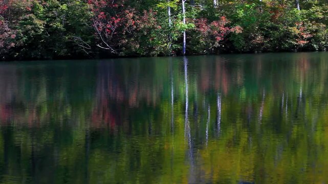鎌池の紅葉とさざ波