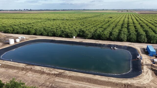 Geometric rows of crops spread across vast farmland bordering irrigation pond, storage tanks, and equipment near rural Chowchilla, lined by tall trees. California, USA. Aerial drone backwards shot.
