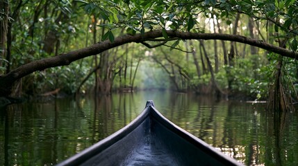 Fototapeta premium A sleek gondola navigates through a serene mangrove forest offering an inviting and tranquil journey through lush tropical waters