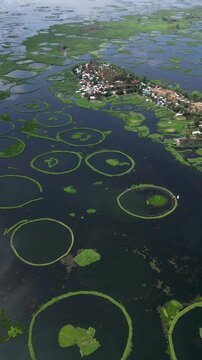 Cinematic aerial drone view of the unique circular floating islands (Phumdis) on Loktak Lake, Manipur, Northeast India &ndash; 2025