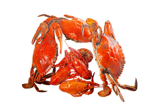 Boiled Red Crabs and Crayfish Isolated on White Background