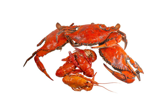 Boiled Red Crabs and Crayfish Isolated on White Background