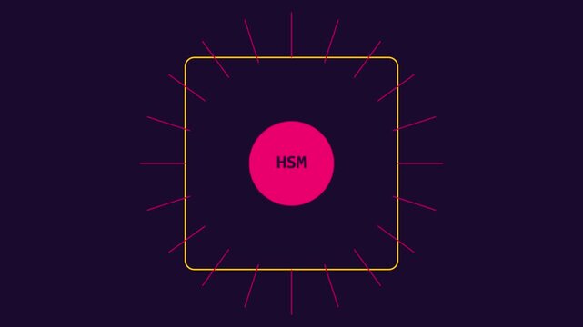 Hardware security module hsm concept animation with digital data protection interface and cyber security network technology