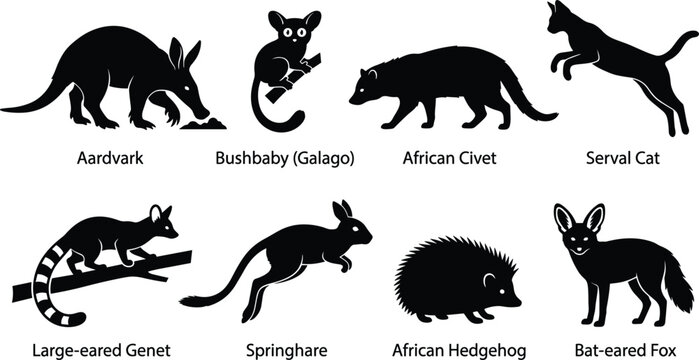 African Nocturnal Mammal Silhouette Vector Set Featuring Serval Cat, Aardvark, Bushbaby, and Bat Eared Fox Icons for Wildlife Logo Branding and Nature Illustrations