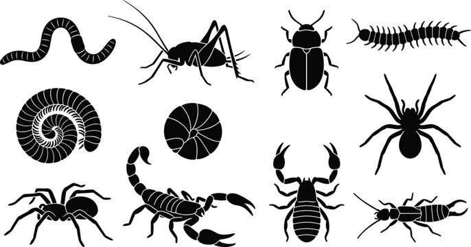 Creepy Crawler Insect and Arachnid Silhouette Vector Set Featuring Scorpion, Spider, and Millipede Icons for Halloween Decor and Pest Control Graphics