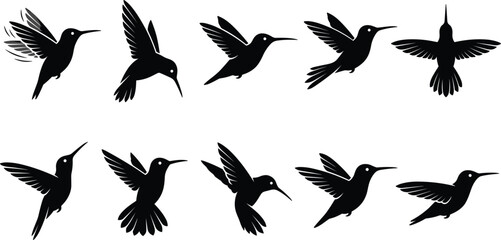 Obraz premium Flying Hummingbird Silhouette Vector Set Featuring Small Avian Wildlife Icons for Exotic Garden Logos and Tropical Floral Nature Branding