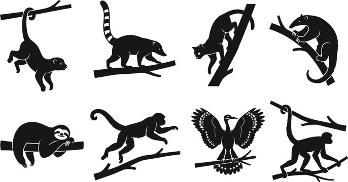 Rainforest Animal Silhouette Vector Set Featuring Sloth, Monkey, Lemur, and Anteater Icons for Jungle Wildlife Logos and Nature Conservation Graphics