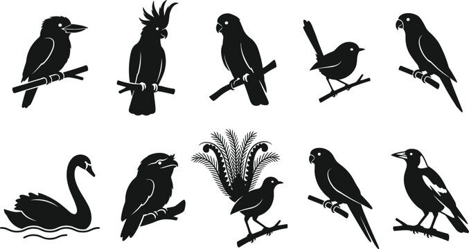 Tropical and Australian Birds Silhouette Vector Set Featuring Parrot, Cockatoo, Swan, and Exotic Avian Icons for Nature Branding and Wildlife Logo Designs