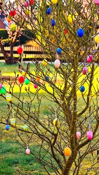 Colorful Easter eggs hanging on tree branches in a sunny spring garden