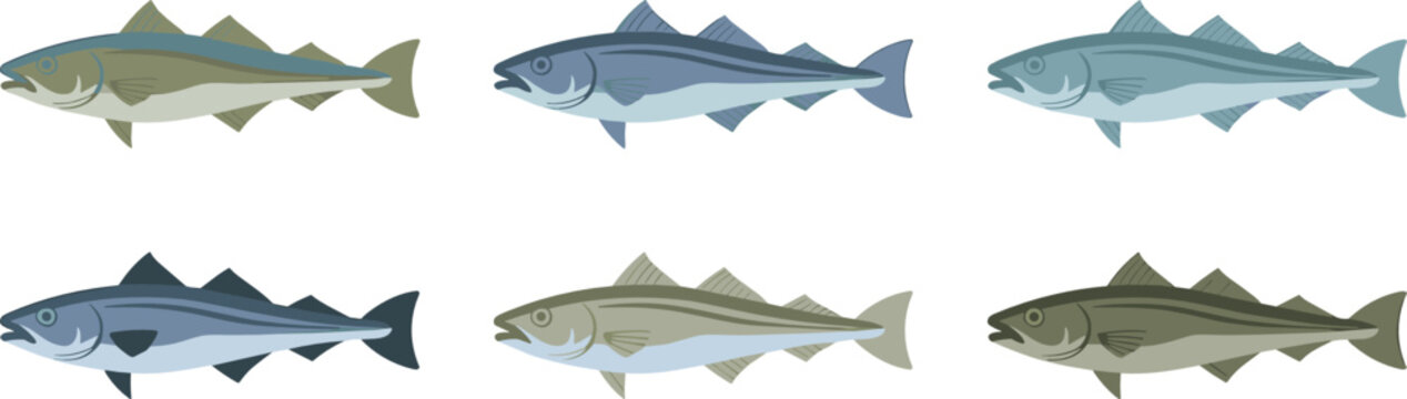 Cod fish vector bundle with Atlantic sea wildlife icons, fresh raw seafood elements for restaurant menu layouts, flat cartoon graphics.