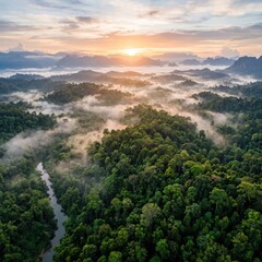 Fototapeta premium Sunrise over misty tropical rainforest and winding river valley.