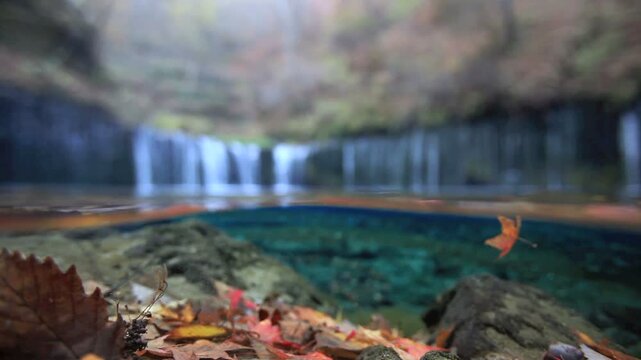 秋の白糸の滝と水中