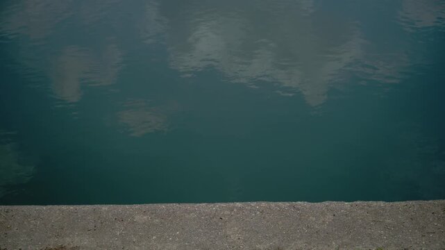 Flying pigeon above reflective teal water in a minimalist urban setting. Freedom, tranquility, balance and contemporary background concept. 4K