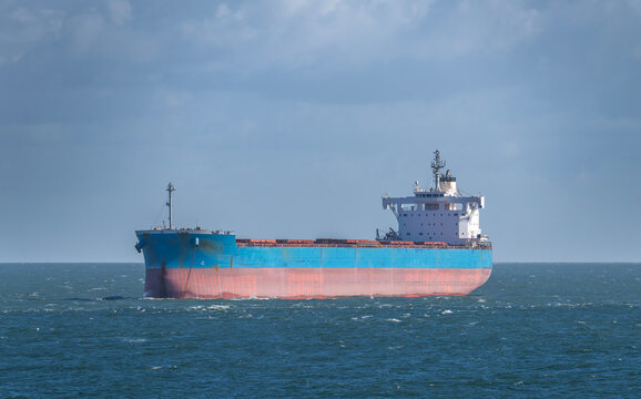 Large cargo ship with a blue hull and a red bottom is anchored near the shore in the ocean under a bright sky with light clouds. Commercial maritime logistics