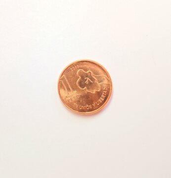 Argentine 10 centavos copper coin 2017 isolated on white background
