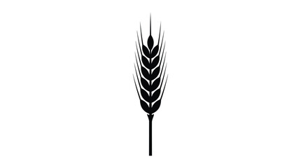 Wheat stalk silhouette against a white background © TanjilaAkter