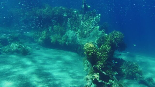 Underwater shipwreck covered in colorful coral reef