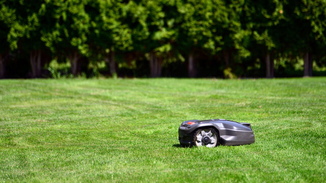 Robotic lawn mower on grass, side view.