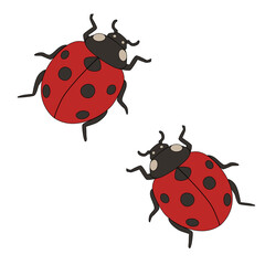 Fototapeta premium Cute Ladybug Pair Vector Illustration. Two cute ladybugs in a simple cartoon style isolated on white background. Minimal vector illustration representing friendship, love, nature and spring season. 