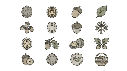 Assorted nut and acorn botanical icon set © Puput
