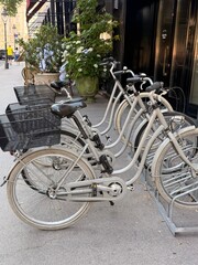 Obraz premium bicycles in amsterdam
