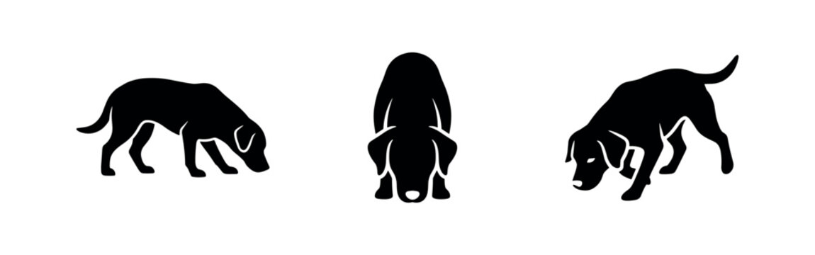 Dog Sniffing Ground Icon Set. Canine Behavior and Searching Action for Pets and Tracking.