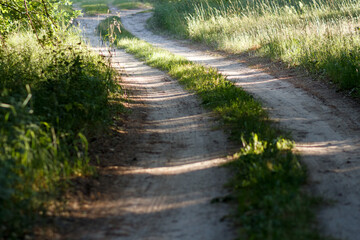 Fototapeta premium Dirt road with tyre tracks winds through green grass field in sunny summer afternoon. Rural landscape with Poaceae plants and shadows from trees. European nature environment, scenic countryside.