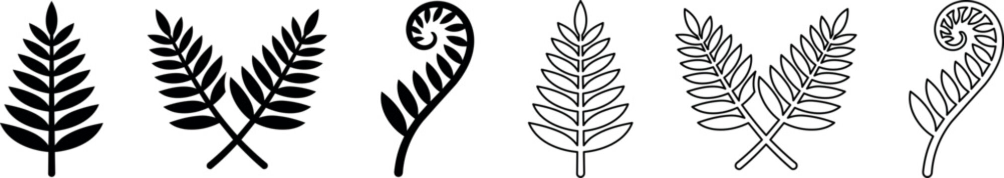 Silhouette and outline of fern fronds and fiddleheads in black and white