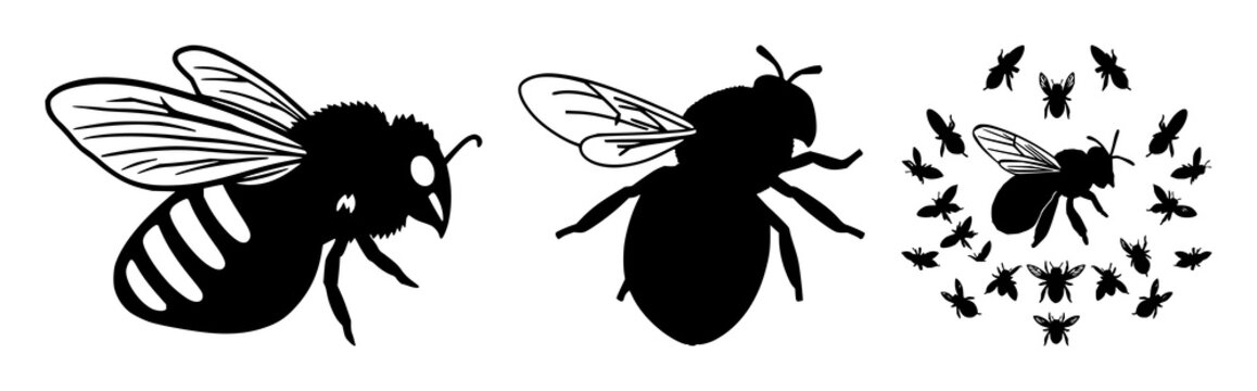 Bee swarm set with solid black icon on white background featuring swarm intelligence, bee icons, minimalist illustration with vector and design