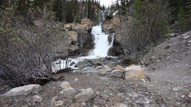 Tangle Creek Falls Narrow Waterfall Dropping Over Grey Rocky Cliff, Icefields Parkway, Alberta