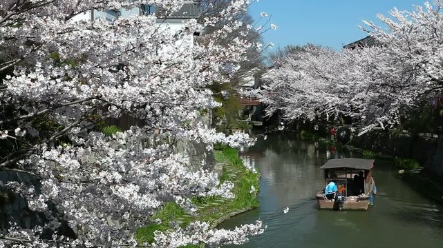 八幡掘り舟めぐり
