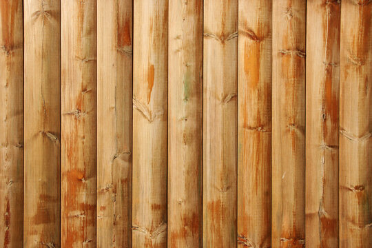 Natural bamboo fence with vertical bamboo poles and warm organic tones. Tropical texture background suitable for eco, nature and outdoor design themes.