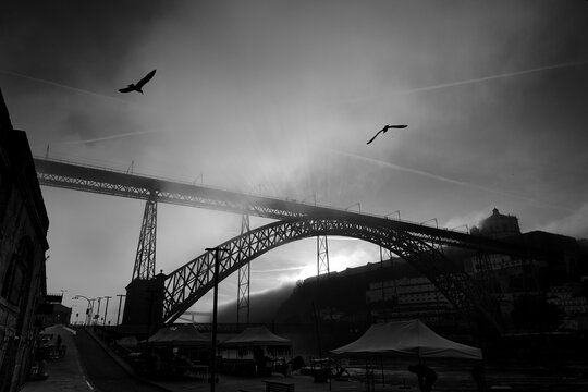 Dramatic Luis I Bridge in Porto with Sunrays and Seagulls