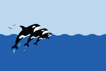 Fototapeta premium Flat vector illustration of a pod of majestic orcas leaping playfully high out of the deep blue ocean sea, marine concept