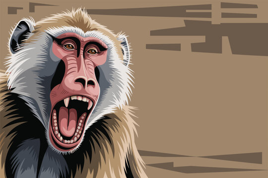 Flat vector illustration of an angry aggressive baboon monkey screaming while showing sharp long teeth art, animal concept