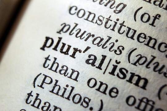 Word pluralism on dictionary page, macro close up