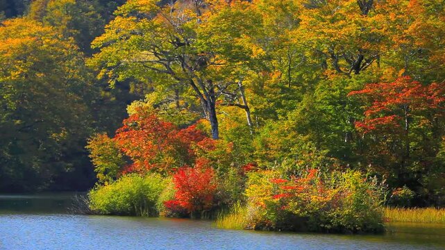 鎌池の紅葉とさざ波