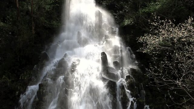 樽滝