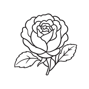 Traditional rose flower icon, black line art vector illustration of Taif rose isolated on white background.