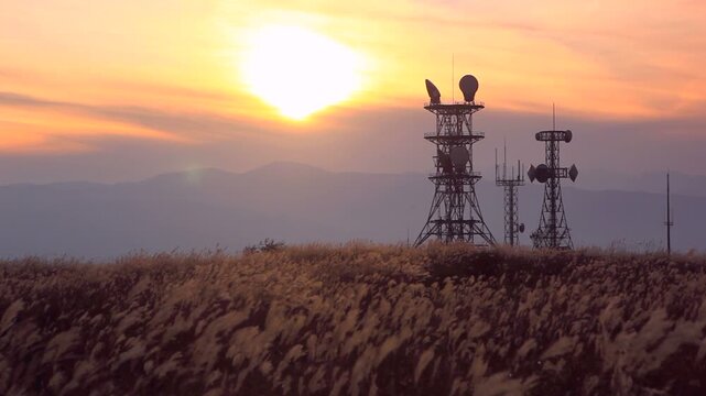 高ボッチ高原のススキと電波塔と夕日