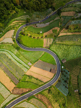Aerial view of a winding road cutting through lush green terraced agricultural fields on the slopes of Mount Andong in Ngablak, Central Java, Indonesia.