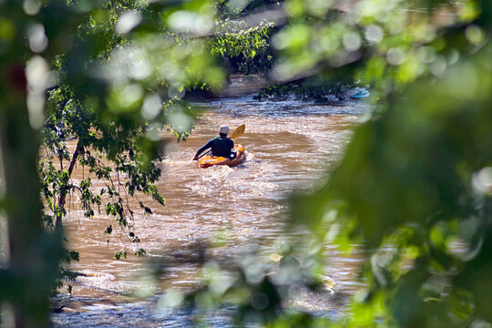 Kayaker Through the Leaves