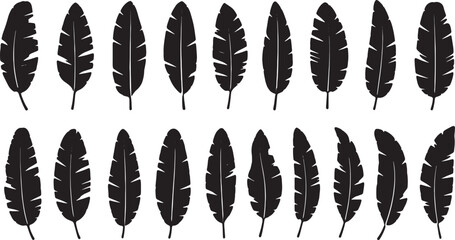 black feather silhouettes on white background © LaxmiRani