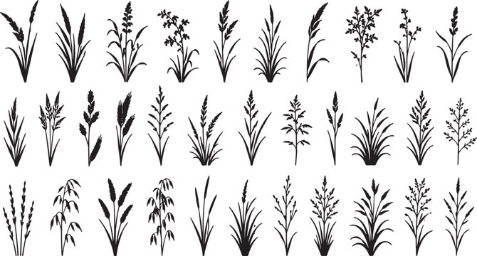 collection of various grass and plant silhouettes