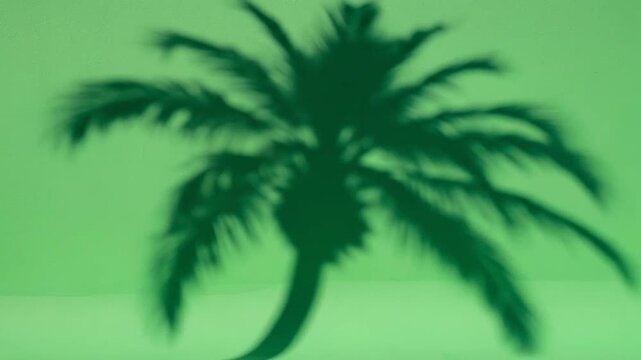 A soft blurred shadow of a palm tree cast on a solid green wall