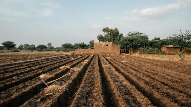 Farmland with freshly plowed furrows stretches out toward a rustic mud brick structure in the warm golden sunlight.