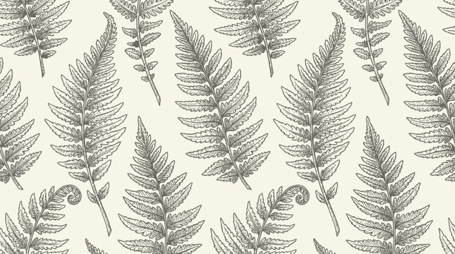 Artistic botanical illustration of a delicate fern leaf pattern featuring elegant hand-drawn floral sketches of nature greenery for decorative organic garden design and natural aesthetic.