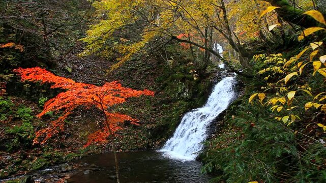 秋の宇津江四十八滝の梵音滝